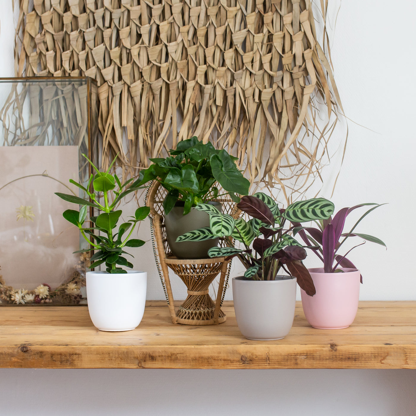 inspiratie