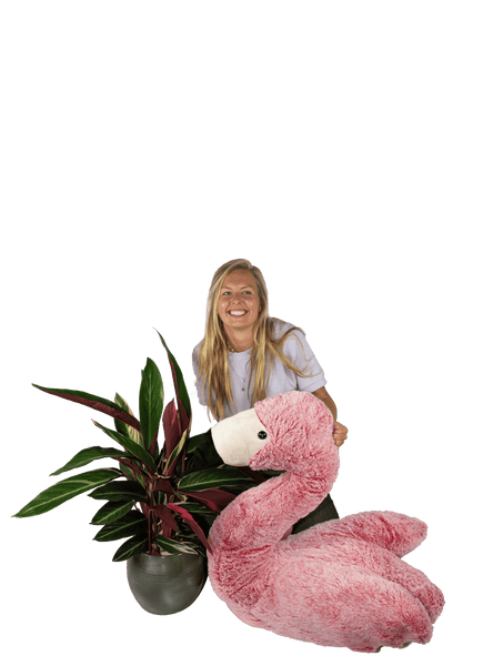 Plantenliefhebber