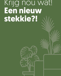 inspiratie-3