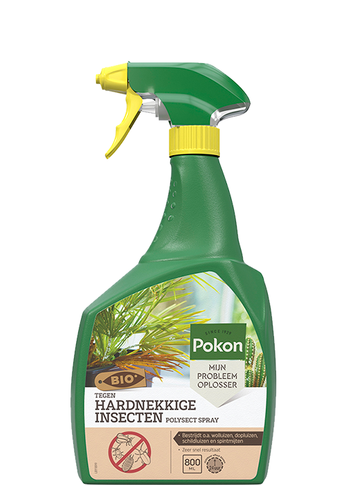 Tegen Hardnekkige Insecten Spray (800 ml) - Pokon Bio