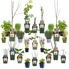 Proeftuin (biologisch) (9m²)