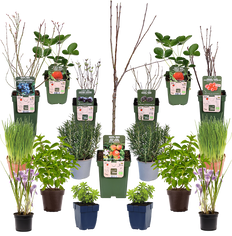 Proeftuin (biologisch) (4m²)