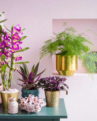 inspiratie-5