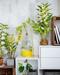 inspiratie-4