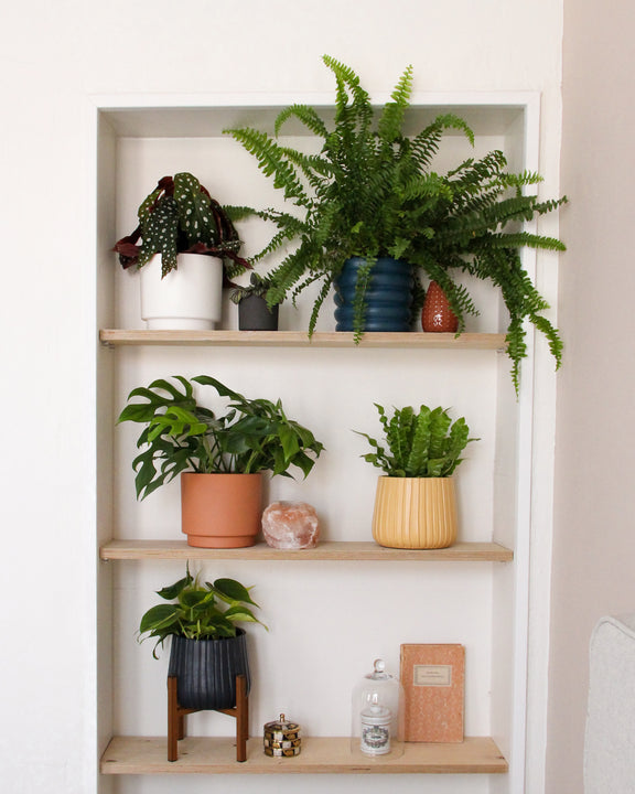 inspiratie