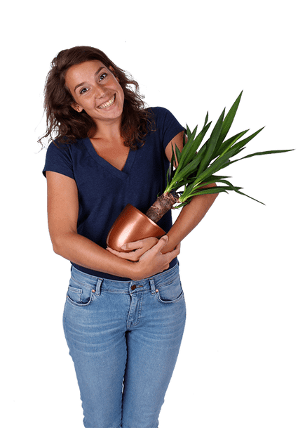 Plantenliefhebber